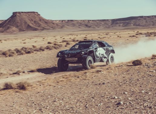 Peugeot 2008 DKR16 3